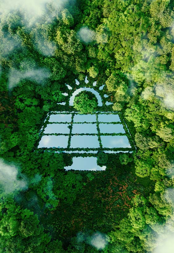 Zonnepanelen